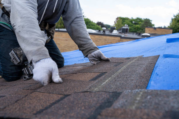 Best Emergency Roof Repair Services  in Lexington, OH