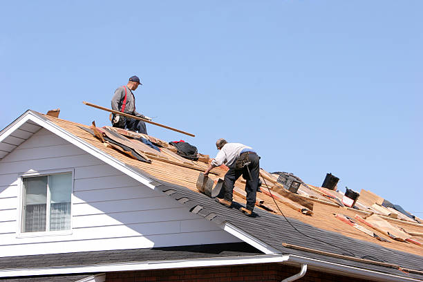Best Skylight Installation and Repair  in Lexington, OH